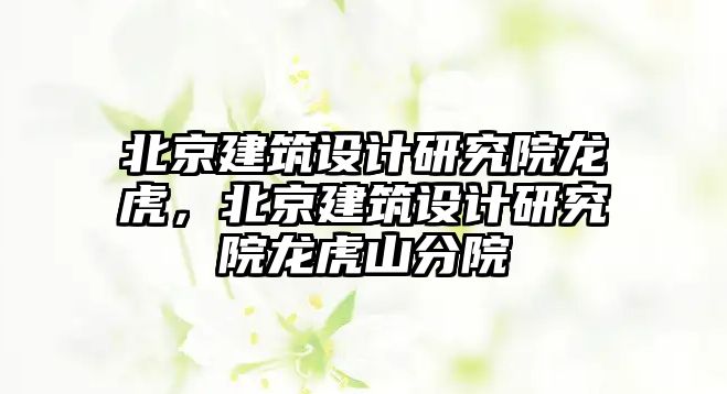 北京建筑設(shè)計研究院龍虎，北京建筑設(shè)計研究院龍虎山分院