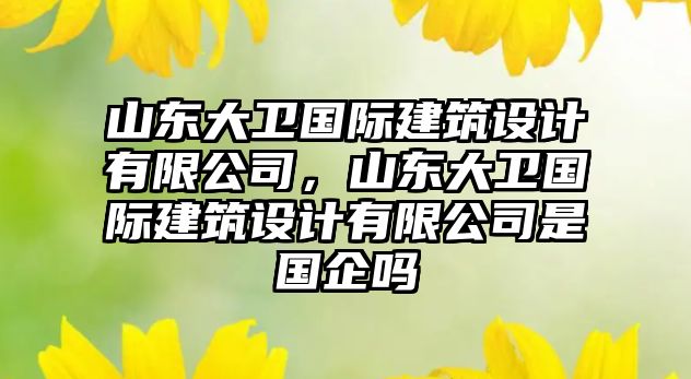 山東大衛(wèi)國(guó)際建筑設(shè)計(jì)有限公司，山東大衛(wèi)國(guó)際建筑設(shè)計(jì)有限公司是國(guó)企嗎