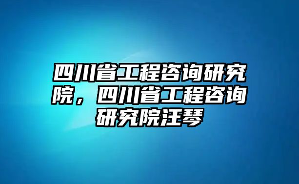 四川省工程咨詢研究院，四川省工程咨詢研究院汪琴