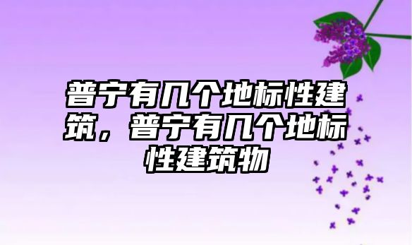 普寧有幾個(gè)地標(biāo)性建筑，普寧有幾個(gè)地標(biāo)性建筑物